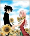 sasuke e sakura